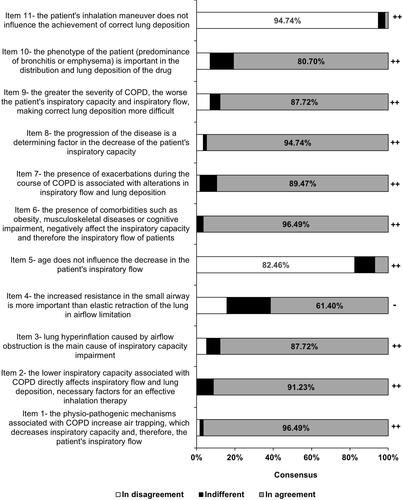 Figure 1 Expert consensus on the identification of patient factors, related to inspiratory flow and lung deposition, to be considered in inhaled therapy. A high level of consensus was reached in all items but in item 4, perhaps because it is an issue with complex pathophysiological implications. Consensus degree is shown as: ++(strong consensus, >80% of the experts agreed) and - (discrepancy, <70% agreed).