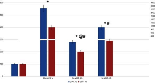 Figure 2 Activities of liver enzymes GPT and GOT in the control group and in animals treated with hcMSC (10–30 kDa) or ncMSC (10–30 kDa) after the administration of acetaminophen.Notes: *p<0.05 Compared with intact control. @p<0.05 Compared with 24 h. #p<0.05 Compared with Control group.Abbreviations: hc-MSC, MSCs cultured under hypoxic (10% O2 hc-MSC) condition; nc-MSC MSCs cultured under normal (21% O2 nc-MSC) condition.