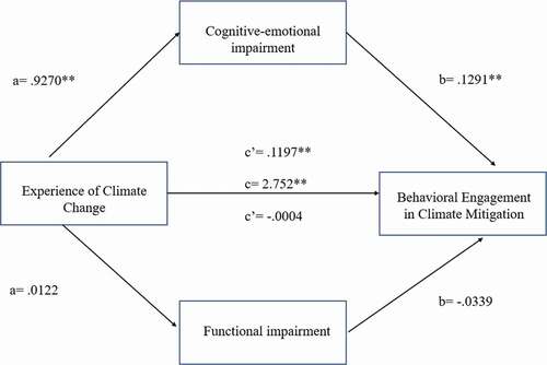 Figure 1. Direct effect and indirect effect path model of experience of climate change, climate change anxiety and behavioural engagement in climate mitigation.