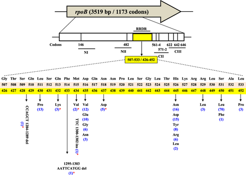 Figure 1 Mutations and indels in the RRDR of rpoB (507–533) E. coli numbering system; (426–452) Mtb numbering system; *Novel and rarely detected mutations and indels in RIFR strains in this study; Number of Mtb strains containing rpoB mutations are shown in brackets.