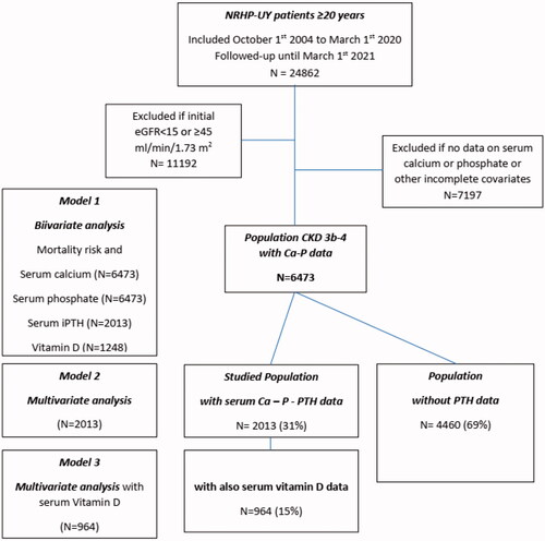 Figure 1. Algorithm of the Uruguayan National Renal Healthcare Program (NRHP-UY) population and the distribution of the studied groups. eGFR: estimated glomerular filtration rate; Ca: calcium; P: phosphate; iPTH: intact parathyroid hormone; vitamin D : 25(OH) vitamin D.