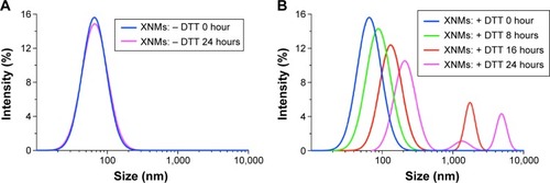 Figure 6 (A) Typical DLS images of XNMs without DTT. (B) The DLS images of XNMs suspensions with DTT (10 mmol/L) for up to 24 hours.Abbreviations: DLS, dynamic light scattering; XNMs, X-shaped (PLGA)2-SS-4-arm-PEG2000 polymer nanomicelles; LNMs, loaded linear (PLGA)2-SS-4-arm-PEG200 polymer nanomicelles; DTT, DL-Dithiothreitol; PDI, polydispersity index; PLGA, poly(lactic-co-glycolic acid); PEG, poly(ethylene glycol).