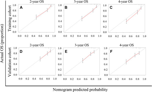 Figure 4 APRI-based nomogram calibration curves for predicting overall survival (OS) at two-, three-and four-year. (A–C) Two-, three-and four-year OS in the training cohort. (D–F) Two-, three-and four-year OS in the validation cohort.