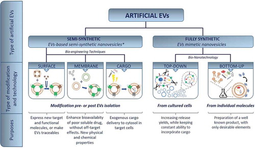 Figure 1. Artificial EV landscape: explored routes to date for the preparation of artificial EVs for specific purposes. *EBSSNs [Citation19].