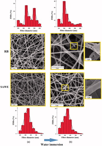 Figure 4. SEM images and corresponding FDDs of SAWE and RB (a) before and (b) after water immersion for 72 h.