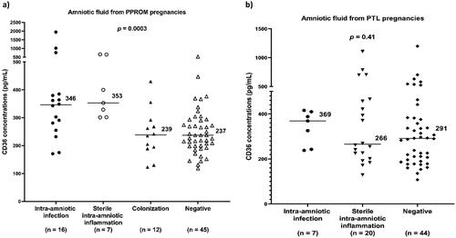 Figure 1. Amniotic fluid CD36 concentrations in the subgroups of women with PPROM (a) and PTL (b). PPROM, preterm prelabor rupture of membranes; PTL, preterm labor with intact membranes.