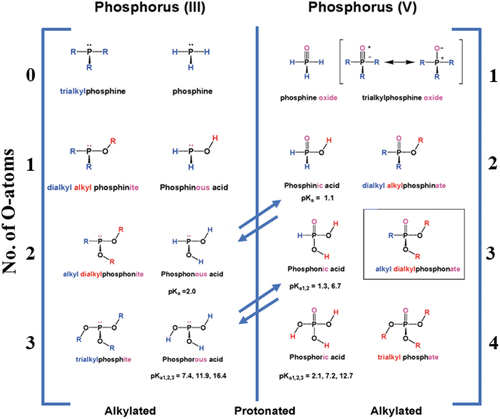 Figure 2. Names and structures of the basic mononuclear phosphorus hydrides, hydroxides, and oxides with three and five values. Reproduced with permission from ref [Citation15], copyright @ American Chemical Society (2011).