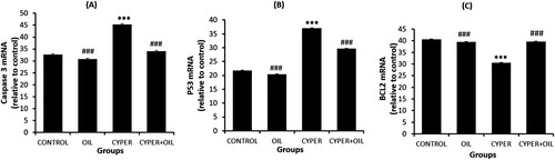 Figure 2. PCR analysis of testis Caspase3 (A), p53 (B), and Bcl-2 (C) expression of CONTROL: normal control, OIL: Sesame oil, Cyper: Cypermethrin and Cyper + Oil: Cypermethrin rats treated with Sesame oil. Data are Mean ± SE (n = 10). ***P < 0.001 versus Control, and ###P < 0.001 versus CYP.