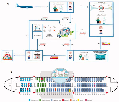 Figure 1. Screening flow and diagram of aircraft. (A) Screening flow; (B) Diagram of the Boeing 787-9 aircraft. I: Schematic diagram of seating plan with 11 confirmed cases; II: Air circulation pattern in passenger cabin, arrows show air currents from the Lancet22.