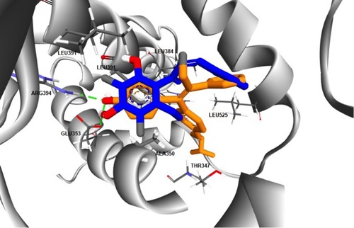 Figure 4 The superimposition between the docking poses of ChalcEA and 4-OHT (blue and orange-colored sticks, respectively) inside the ligand-binding site of hERα.