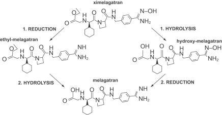 Figure 1 Chemical structure of ximelagatran and melagatran.