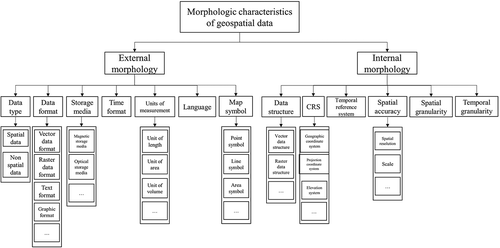 Figure 7. Classes hierarchy of morphology ontology.