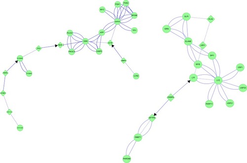 Figure 15 Chronic bronchitis: the two protein interaction networks suggest that distinct pathological mechanisms contribute to bronchial pathology.