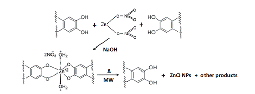 Scheme 2. Possible mechanism for bio-synthesis of ZnO NPs using Vaccinium arctostaphylos L fruit extract.