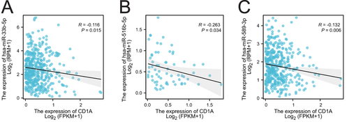 Figure 5 Correlation analysis of CD1A with target miRNAs. (A) Correlation analysis of CD1A expression with hsa-miR-33b-5p expression. (B) Correlation analysis of CD1A expression with that of hsa-miR-516b-5p. (C) Correlation analysis of CD1A expression with that of hsa-miR-589-3p.