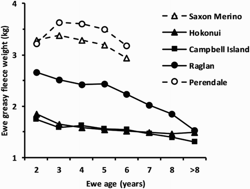 Figure 3. Effect of ewe age on mean greasy fleece weight adjusted to 365 days growth pooled over grazing locations for the three feral flocks, and the recorded fleece weight for the two domesticated flocks: Saxon Merino (Sumner & Henderson Citation2013; R. M. W. Sumner, unpubl. data); and Perendale (Sumner et al. Citation2012) grazed conjointly with the feral flocks. Values for 2-year-old ewes are not comparable between the feral and domesticated flocks. Standard error of difference range = 0.07–0.24 kg.