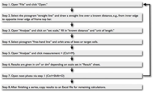 Figure 7. Outline of the method of Cornelissen et al. (Citation2009). Flow chart of computer assisted image analysis applying ImageJ software. Step 2 can be skipped by making the photos in a fixed position at which the distance between camera and frame is constant.