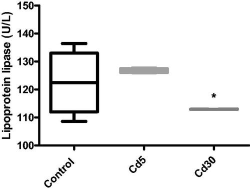Figure 13. Effect of cadmium on cardiac lipoprotein lipase activity. Lipoprotein lipase activity in the heart showed no difference in the Cd5 group compared with control but a statistical (*p < 0.05) reduction in the activity in the Cd30 group was observed compared with control.