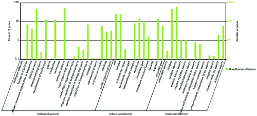 Figure 4. Gene ontology classification of assembled unigenes.Note: The results are summarized in three main categories: biological process, cellular component and molecular function. The right y-axis indicates the number of genes in a category. The left y-axis indicates the percentage of a specific category of genes.