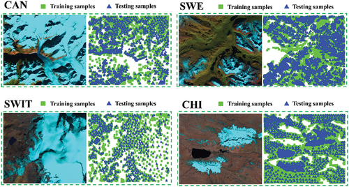 Figure 3. The ground reference samples for training and testing of machine learning classifiers.