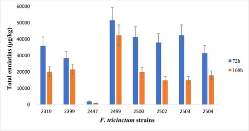 Figure 3. Enniatin production by F. tricinctum strains in liquid medium.