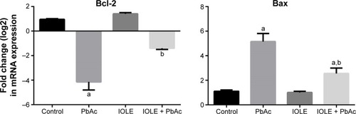 Figure 6 Ameliorative effects of IOLE pre-administration on mRNA expression of Bcl-2 and Bax genes in the kidney of rats exposed to PbAc for 5 days.