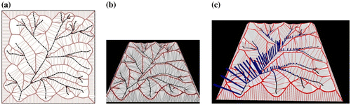 Figure 6. (a) Crust, skeleton, Voronoi cells; (b) Terrain from crust and skeleton; (c) Cumulative catchment areas.