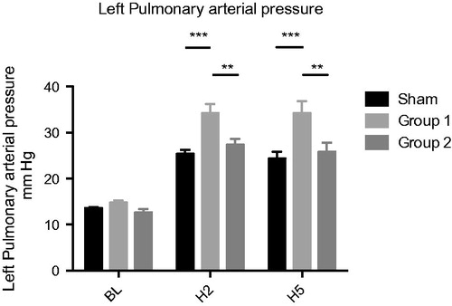 Figure 2. Left pulmonary mean arterial pressure MPAP (mmHg). *p < .05; **p < .01; ***p < .001.