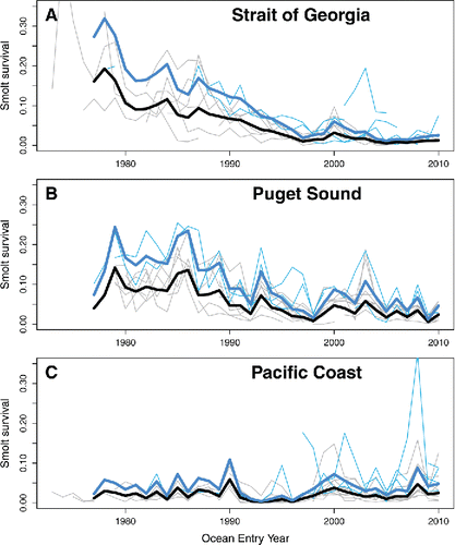 FIGURE 6. Smolt survival time series for Coho Salmon from ocean entry years 1977 to 2010. The values shown are not transformed (logit transformation was used in the analysis to account for heterogeneous variance among years). Panels represent the three geographic regions: (A) the Strait of Georgia, (B) Puget Sound, and (C) the Pacific coast. The thin lines represent individual populations: the thin gray lines are hatchery populations and the thin blue lines are wild populations. The thick lines show the predicted survival for hatchery (black) and wild (blue) populations in each region from the best mixed-effects regional model (Model 9 in Table 3), with year incorporated as a categorical variable to highlight annual variation in smolt survival.