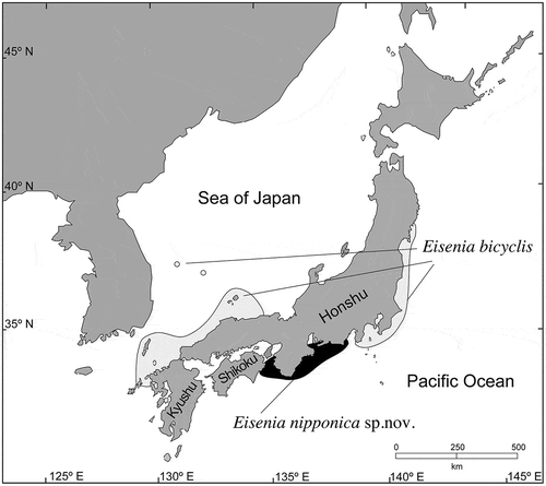 Fig. 1. Geographic distribution of Eisenia bicyclis and E. nipponica sp. nov. (= E. arborea sensu Arasaki).