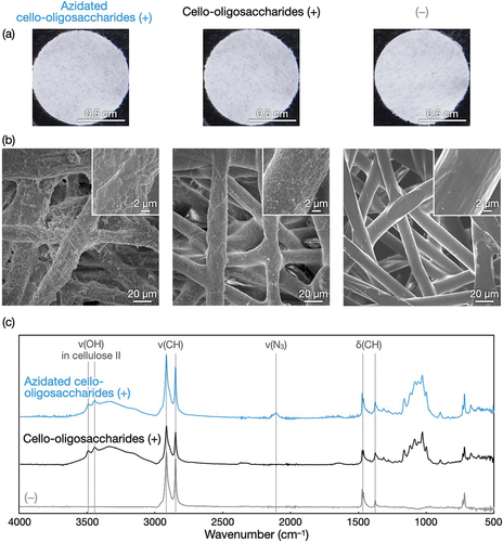 Figure 3. Structural characterization of azidated cello-oligosaccharide-decorated polyolefin nonwovens. (a) Photographs, (b) SEM images, and (c) ATR-FTIR absorption spectra of polyolefin nonwovens with and without azidated cello-oligosaccharides and cello-oligosaccharides.