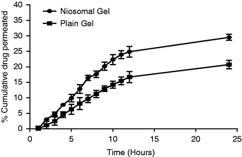 Figure 15. In vitro permeation of niosomal and plain gel.
