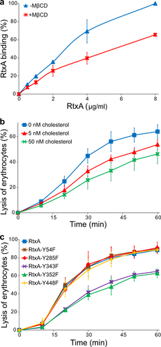 Fig. 7 Cholesterol is important for the binding and cytotoxic activity of RtxA toward erythrocytes.a Erythrocytes (5 × 108/ml) were pretreated with 1 mM MβCD at 37 °C for 30 min, diluted to 1 × 107/ml and placed on ice before RtxA labeled with Dy495 was added at the indicated concentrations. The cells were incubated with the toxin for 15 min at 4 °C, and the amount of fluorescently labeled RtxA bound was determined by flow cytometry. The results are expressed as the relative binding of RtxA according to the following formula: relative binding = (sample binding)/(maximum binding) × 100. The data shown are the mean values ± SD of four independent experiments. b Purified RtxA (1 µg/ml) was preincubated for 10 min at room temperature in the presence (5 and 50 nM) or absence of cholesterol and then was added to erythrocytes (5 × 108/ml). The cells were incubated for different times at 37 °C and analyzed as described in the Fig. 3 legend. Each point represents the mean value ± SD of three independent determinations performed in duplicate. c Substitutions of the tyrosine residues Y343 and Y352 by phenylalanine residues in the putative CARC/CRAC motifs reduce the cytolytic activity of RtxA. Erythrocytes (5 × 108/ml) were incubated with 100 ng/ml of intact RtxA or its mutant variants for different times at 37 °C and analyzed as described in the Fig. 3 legend. The data shown are the mean values ± SD of three independent experiments