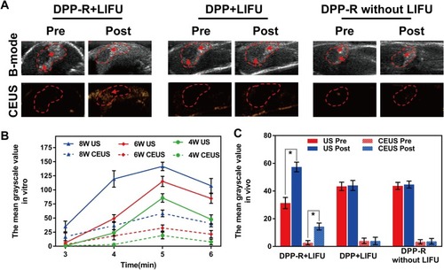 Figure 8 ADV imaging in vivo. (A) B-mode and CEUS images of orthotopic tumor-bearing mice at tumor site before and after LIFU irradiation. (B) The variation trend of the quantized mean grayscale values of B-mode and CEUS mode for different duration and power of LIFU in vitro. (C) The quantized mean grayscale values of B-mode and CEUS mode of tumor site (The data was exhibited as mean±SD, n=3, *p<0.05).