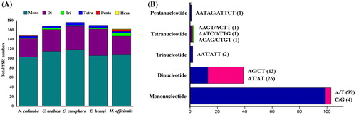 Figure 5. Analysis of simple sequence repeat in the five chloroplast genomes of Rubiaceae family. Number (A) of different SSRs types detected in five genomes. Frequency (B) of different SSR types in N. cadamba.