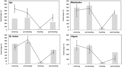 Figure 2. Mean (±se) number of Gannets counted by cape and four phenological periods. Grey bars represent the global mean number of counted Gannets for all four capes.