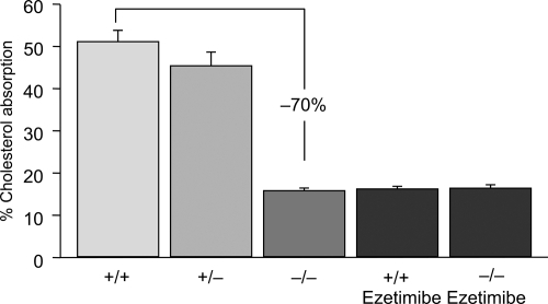 Figure 1 Cholesterol absorption in NPC1L1 (−/−) mice and in (+/+) mice treated with ezetimibe. Drawn from data of CitationAltmann et al(2004); CitationGarcia-Calvo et al(2005).