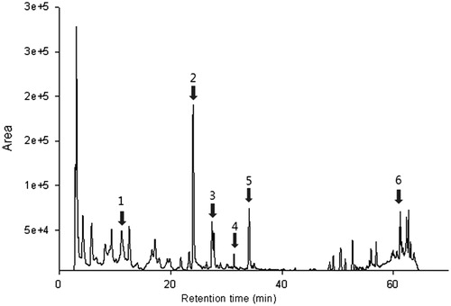 Figure 1. HPLC analysis of several phenolic compounds. The peaks shown in the HPLC chromatograms correspond to the following compounds: (1) chlorogenic acid, (2) rutin, (3) luteolin-7-glucoside, (4) naringin, (5) hesperidin, and (6) tangertin. All experiments were repeated at least three times.