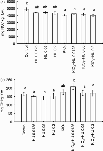 Figure 3. Contents of A, nitrate (V) and B, chlorides in spinach after Humistar application and soil fertigation with KIO3. Means of the two-year study followed by the same letters are not significantly different at t P < .05; bars indicate standard error (n = 8).