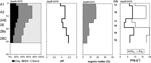 FIGURE 5. Soil texture, pH value (measured in 0.01 M CaCl2 dilution), organic matter content, and Fed and Feo content of profile 2