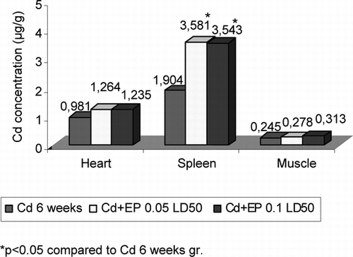 Figure 2 Cd2+ concentration in heart, spleen, and muscle of mice after CdCl2 (0.16 mg Cd/1 kg body mass) and EP (0.125 EP extract/1 kg body mass and 0.25 EP extract/1 kg body mass) injection.