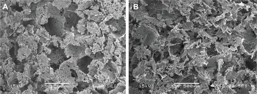 Figure 7 Scanning electron microscopy images of surface morphology of (A) nanofluorapatite (n-FA)/polyamide 12 (PA12) composite with 40 wt% n-FA and (B) PA12.