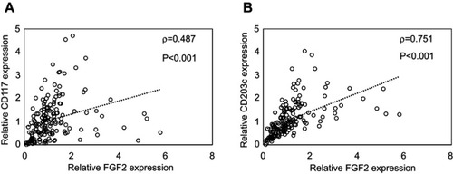 Figure 3 Correlation between the mRNA levels of CD203c, CD117 and FGF2 in synovial tissue. Relationship between FGF2 and CD117 (A) and CD203c (B) in synovial tissue.