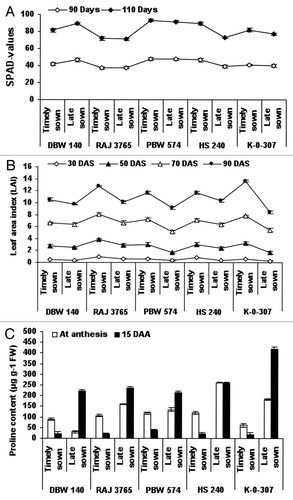 Figure 1. Estimation of chlorophyll index (SPAD-values), leaf area index (LAI) and proline content in wheat genotypes viz., DBW-140, RAJ-3765, PBW-574, K-0-307 and HS-240 under timely and late sown conditions. Leaf chlorophyll content (SPAD-values) was recorded in the flag leaves, using a self-calibrating SPAD chlorophyll meter (Minolta). Thirty flag leaves per plant were used to calculate the chlorophyll index value that is proportional to the amount of chlorophyll (A). Leaf area index (LAI) was measured with the help of Plant Canopy Analyzer (LAI-2000, LI-COR) (B). Proline content (μg g−1 FW) in wheat genotypes was calculated at anthesis and at 15 DAS (days after anthesis) (C). Vertical lines on top of bars indicate standard error of means.