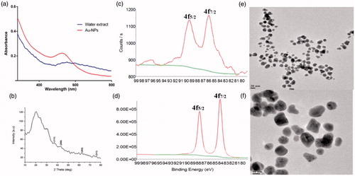 Figure 2. Characterization of gold nanoparticles synthesized from plant extract (SMAE): (A) UV–Vis spectrum, (B) XRD pattern, (C) XPS analysis, (D) XPS analysis of gold metal, and (E and F) HR-TEM images.
