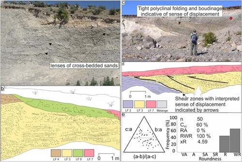 Figure 8. Characteristics of LF 3: (a) packages of massive to crudely horizontally bedded sheets of poorly sorted gravel, separated by discontinuous, lensate bodies of cross-bedded sands; (b) Stratigraphical and structural interpretation of panel a, location labelled on Figure 3; (c) tilted bedding with large concentrations of cross-bedded sands, in thrust fault contact with underlying LF 2 and containing a shallow internal thrust fault dipping northwards; (d) Stratigraphical and structural interpretation of panel c, location labelled on Figure 3; (e) Clast form data from LF 3 sampled from the area marked by the red circle in c.