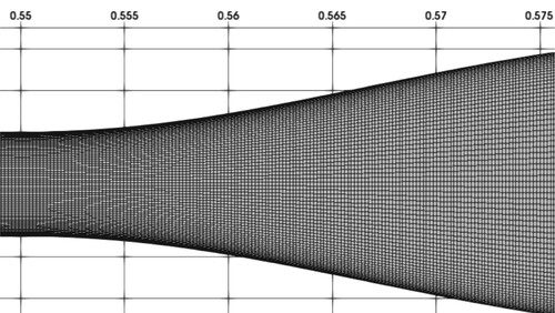 Figure 6. Detail of the utilized grid for the FD study at the section x∈[0.55−0.575] m, where x = 0 refers to the inlet and x = 1.1 to the outlet. (Figure in scale).