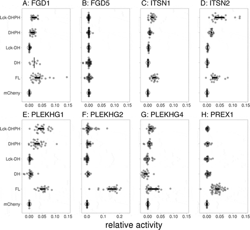 Figure 7. Catalytic GEF domains induce distinct Cdc42 activation profiles. For each of the indicated GEFs the relative activity of membrane-targeted (Lck) Lck-DHPH, soluble DHPH, Lck-DH, soluble DH or full-length (FL) on the Cdc42 biosensor was quantified relative to the control (mCherry). The median activity and 95% confidence intervals are indicated with a circle and a horizontal bar, respectively (except for the ‘DH’ condition of FGD1, where only the median is indicated due to low sample size). The corresponding YFP/CFP data are represented in Supplemental Figure S3