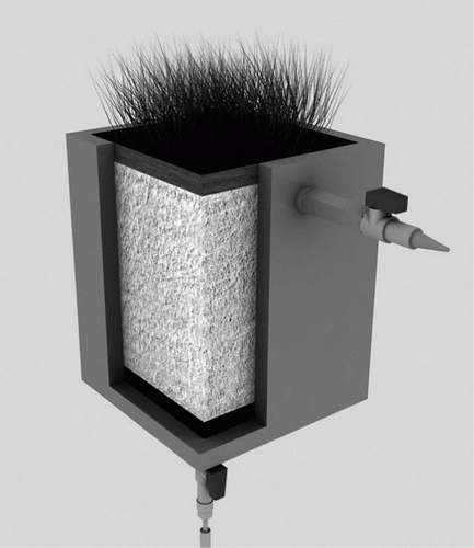 Figure 1.  Representation of the micro-lysimeter used for the stolon establishment experiment.