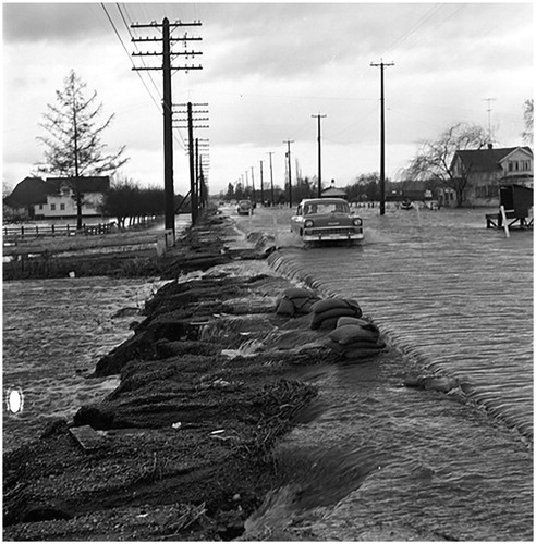 Figure 8. Flood along Pacific Highway near 40th Avenue, 25 January 1968. (Surrey Archives SA1992.036.11409.)